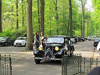 IMG 3981